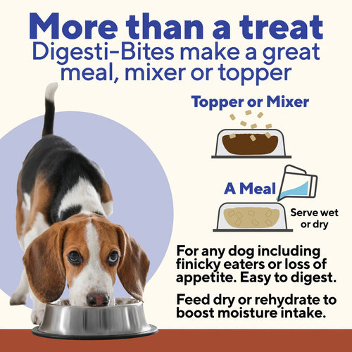 Dave's Digesti-Bites Venison Formula Dog Treats -3oz