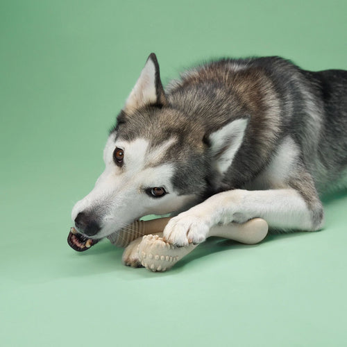 BetterBone Medium Density - Mini Natural Beef