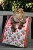 Strawberry Shortcake x Travel Cat: Cat Backpack