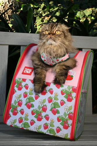 Strawberry Shortcake x Travel Cat: Cat Backpack
