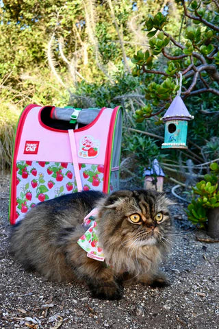 Strawberry Shortcake x Travel Cat: Cat Backpack