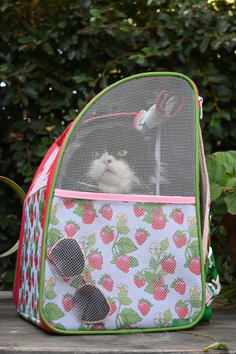 Strawberry Shortcake x Travel Cat: Cat Backpack