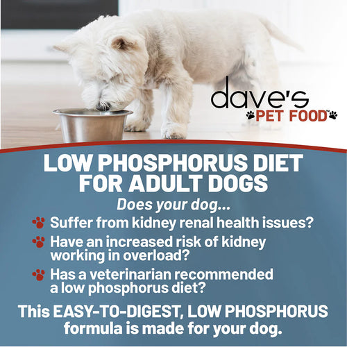 Dave's Pet Food Restricted Phosphorus Tuna Pate for Dogs - 13oz
