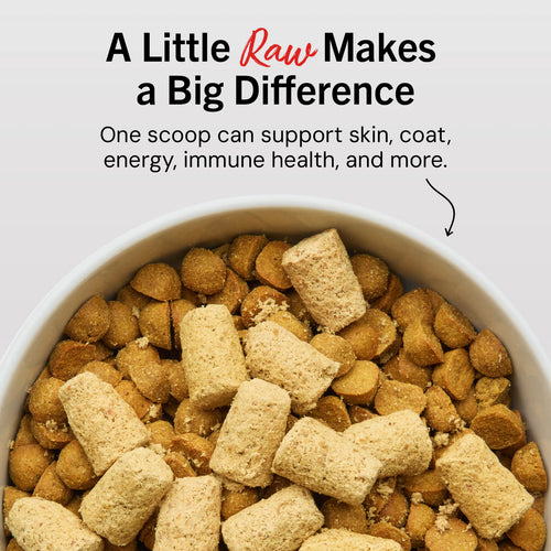 Stella & Chewy's Perfectly Puppy Beef & Salmon Meal Mixers - 3.5oz