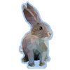Binky Bunny Faceted Bunny Sticker