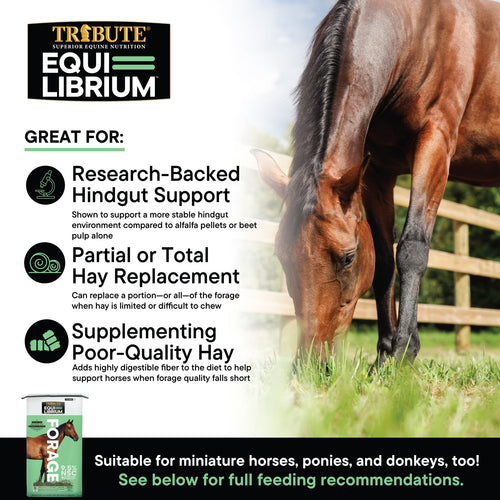 TRIBUTE Equi-Librium™ Forage Horse Feed - 50lb