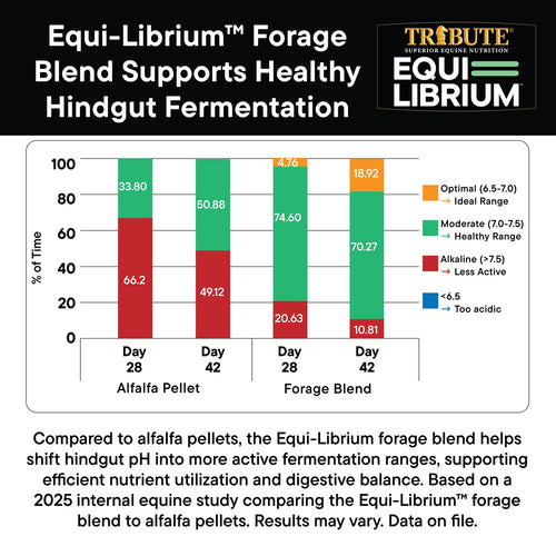 TRIBUTE Equi-Librium™ Forage Horse Feed - 50lb