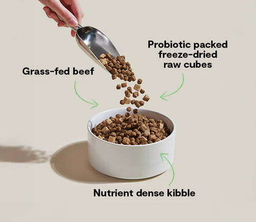 Open Farm GoodGut Grass-Fed Beef Dog Kibble - 3.5lb