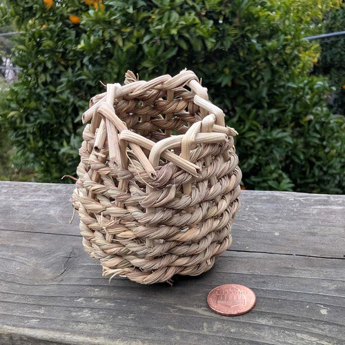 Binky Bunny Sea Grass Forage Cup™