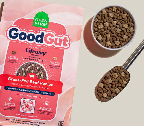Open Farm GoodGut Grass-Fed Beef Dog Kibble - 3.5lb