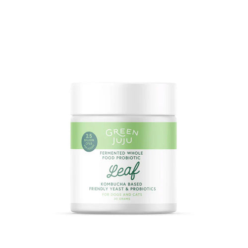 Green Juju Leaf - Fermented, Kombucha-Based Probiotic Gut Support Topper - 30g