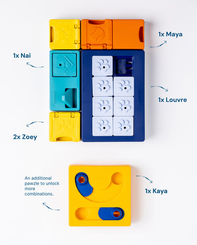 PAWZLER SMARTY SET DOG PUZZLE