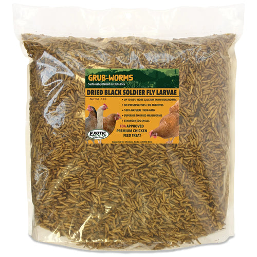 Grub-Worms Black Soldier Fly Larvae 5#