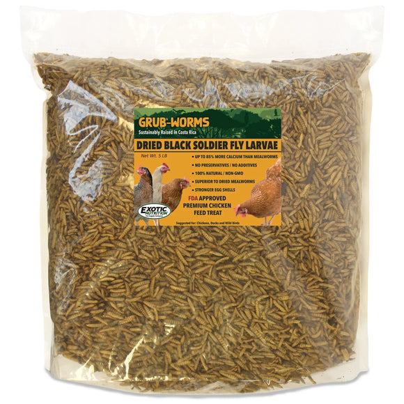Grub-Worms Black Soldier Fly Larvae 5#