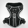 MAGNEPUP Click & Go Standard Harness - Large