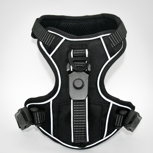 MAGNEPUP Click & Go Standard Harness - Large