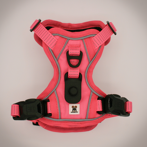 MAGNEPUP Click & Go Standard Harness- Extra Small