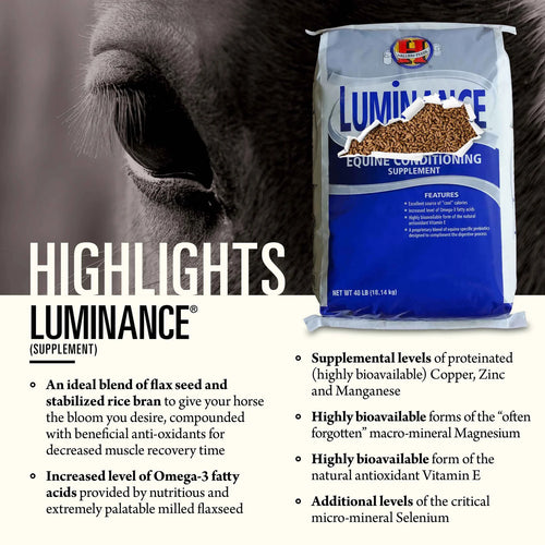 Hallway Feeds Luminance® Fat Supplementation for Equine Conditioning - 40lb