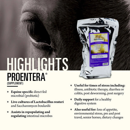 Hallway Feeds ProEntera® Daily Support for a Healthy Digestive System - 30 Packets
