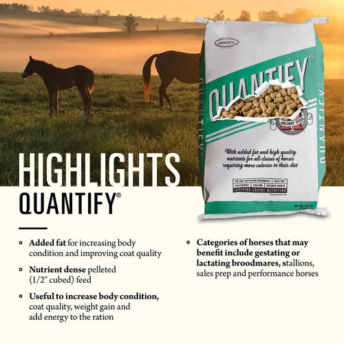 Hallway Feeds Quantify® - 50lb