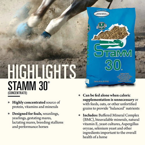 Hallway Feeds Stamm 30® Ration Balancer - 50lb