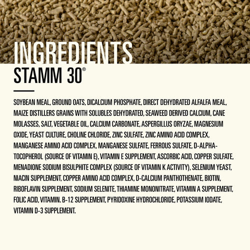 Hallway Feeds Stamm 30® Ration Balancer - 50lb