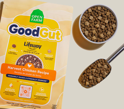 Open Farm GoodGut Harvest Chicken Dog Kibble - 3.5lb