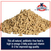 KALMBACH FEEDS HI OMEGGA® CHICKEN LAYER PELLET - 50LB
