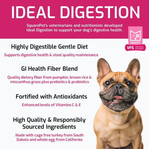 SQUARE PET VFS® IDEAL DIGESTION FOR DOGS - 4.4lb