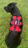 BAYDOG SERVICE DOG HARNESS - X-LARGE