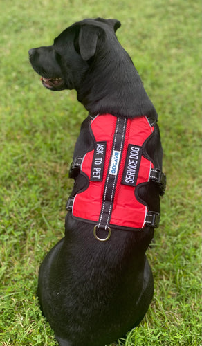 BAYDOG SERVICE DOG HARNESS - MEDIUM