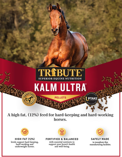 TRIBUTE Kalm Ultra®, Pelleted, High Fat Horse Feed - 50lb