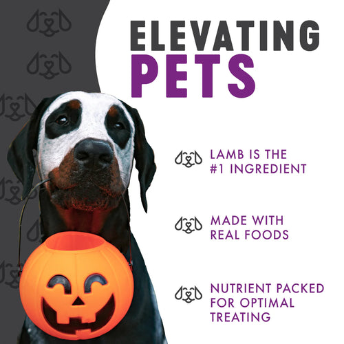 Finley's Monster Snacks Soft Chew Lamb and Sweet Potato Dog Treats - 6 oz.