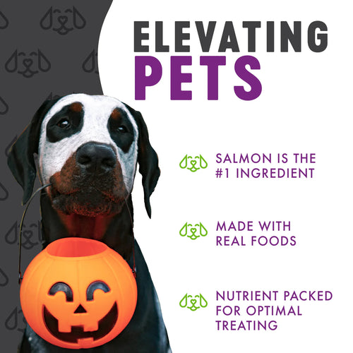 Finley's Monster Snacks Soft Chew Salmon and Sweet Potato Dog Treats - 6 oz.