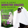 Finley's Monster Snacks Soft Chew Salmon and Sweet Potato Dog Treats - 6 oz.