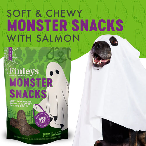 Finley's Monster Snacks Soft Chew Salmon and Sweet Potato Dog Treats - 6 oz.