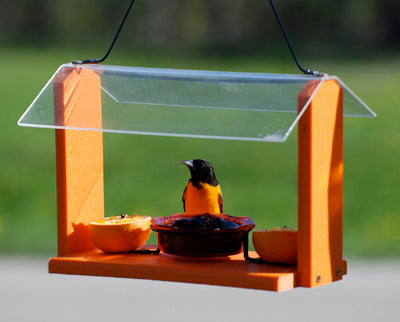 Going Green Oriole Fruit & Jelly Feeder