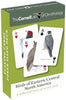 Birds of Eastern/Central North America Playing Cards Single Standard Deck