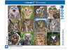 Owls and Owlets 1000 Piece Jigsaw Puzzle