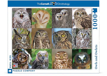 Owls and Owlets 1000 Piece Jigsaw Puzzle