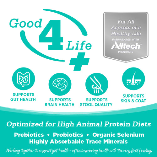 Nutrisource Country Select Recipe Healthy Grain Free Cat Food - 4lb