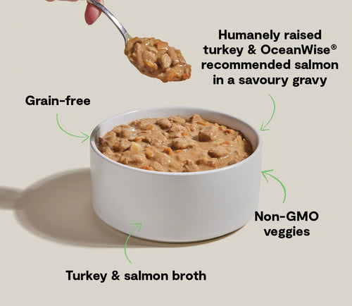 Open Farm Turkey & Salmon Hearty Stew Wet Dog Food - 12.5oz