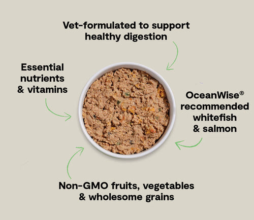 Open Farm Wild-Caught Whitefish & Pollock Digestive Health Pâté for Dogs - 12.5oz