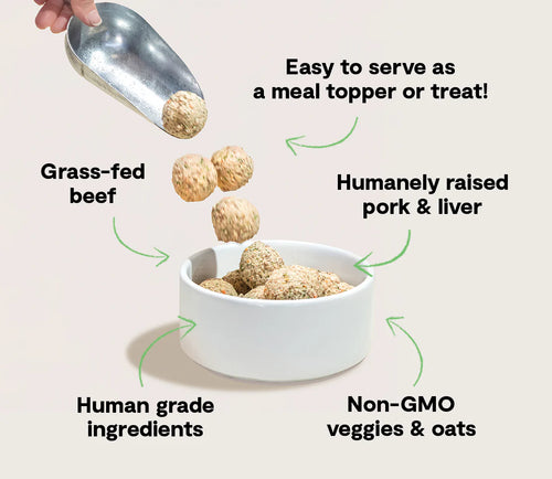 Open Farm Grass-Fed Beef & Pork Freshly Crafted Meatballs for Dogs - 14oz