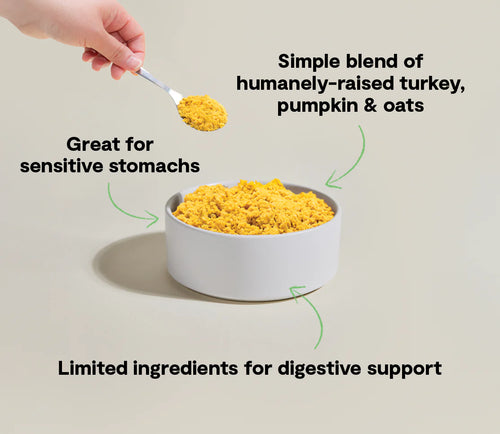 Open Farm Tummy Rescue Freshly Crafted Dog Food - 16oz