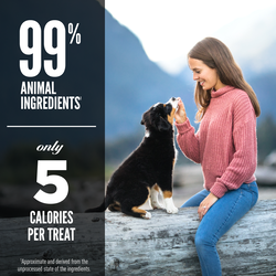 Orijen Beef Recipe Freeze-Dried Dog Treats 3.25oz