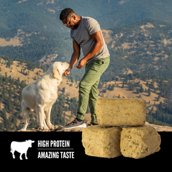 Orijen Beef Recipe Freeze-Dried Dog Treats 3.25oz