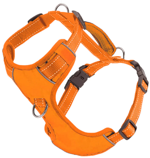 BAYDOG CHESAPEAKE HARNESS ORANGE - SMALL