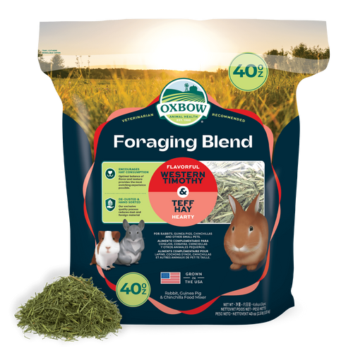 Oxbow Foraging Hay Blend Teff & Western Timothy Hay 40oz
