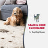 Advanced Stain and Odor Eliminator for Dogs - 32oz